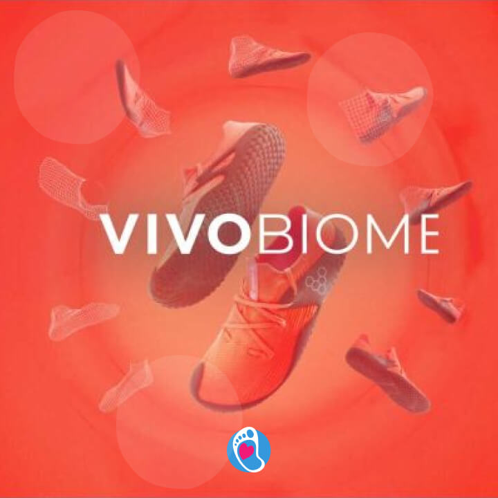 system vivobiome prototyp systemu vivibiome