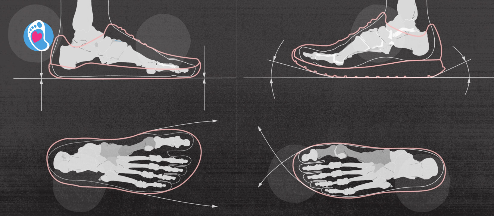 budowa kości stoy w butach barefoot Budowa kości stopy w butach barefoot-vivobarefoot