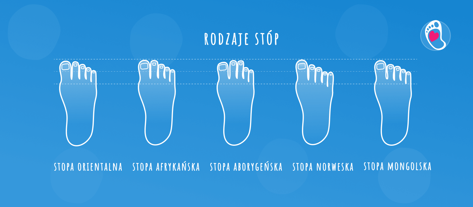 rodzaje-palcow2-Anatomiczny-ksztalt-stopy-bosastopka-sklep-buty-barefoot-buty-dzieciece-buty-damskie rodzaje-palcow2-Anatomiczny-ksztalt-stopy-bosastopka-sklep-buty-barefoot-buty-dzieciece-buty-damskie