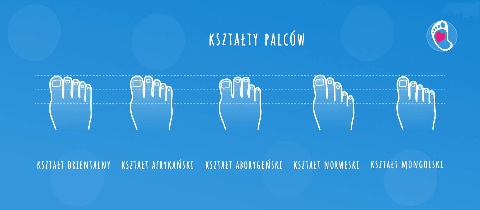 /ksztalt-palcow-obwodu-stop_-blog-jak-wybrac-buty-barefoot-dla-doroslej-stopy-bosa-stopka-sklep-z-butami-dzieciecymi-butami-barefoot /ksztalt-palcow-obwodu-stop_-blog-jak-wybrac-buty-barefoot-dla-doroslej-stopy-bosa-stopka-sklep-z-butami-dzieciecymi-butami-barefoot