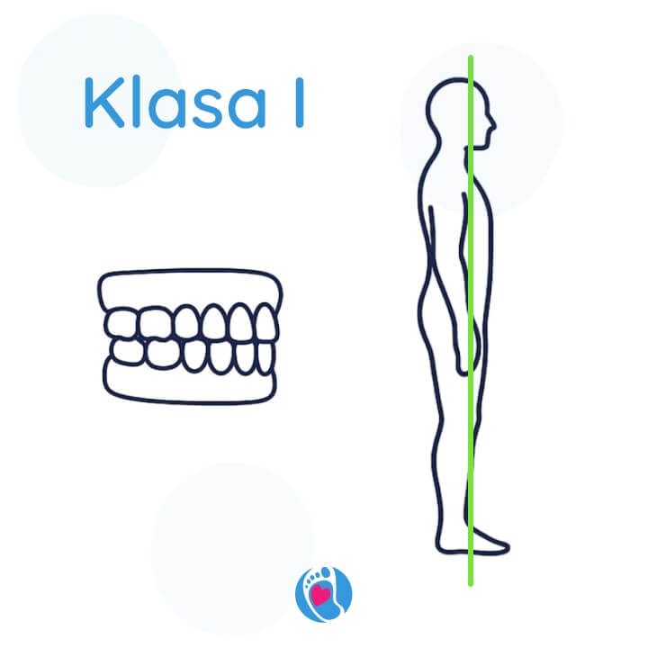 anatomia-buty-barefoot-klasa-I-prawidlowa-sylwetka-Bosa-Stopka Prawidłowa postawa i zgryz w klasie I. Linia kręgosłupa prosta – obraz zdrowej, anatomicznej sylwetki. Bosa-Stopka