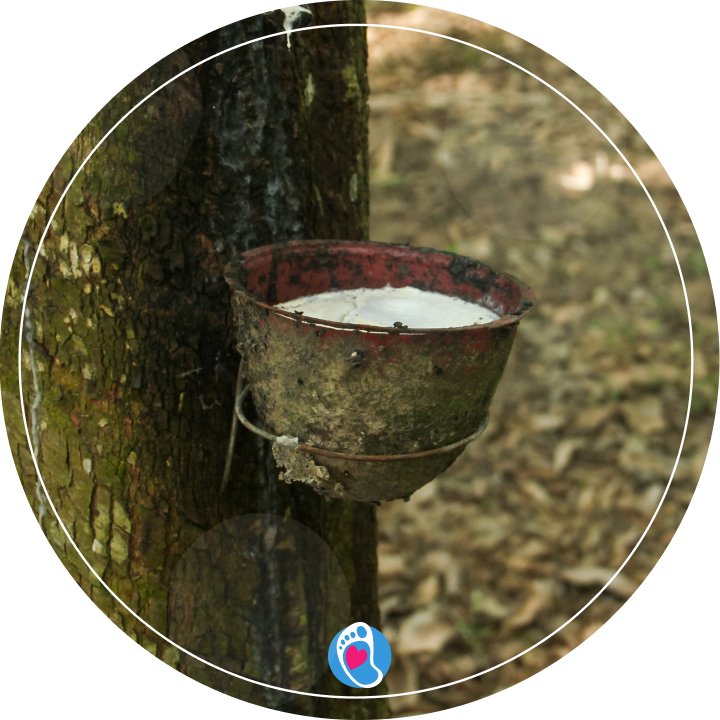 Pielęgnacja butów barefoot – kauczuk naturalny Kauczuk naturalny w butach barefoot i jego pielęgnacja